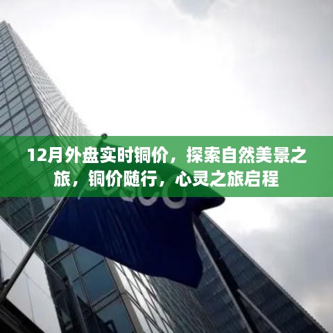 2024年12月14日 第4页