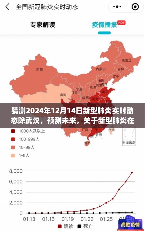 2024年12月14日新型肺炎非武汉地区实时动态展望，未来预测