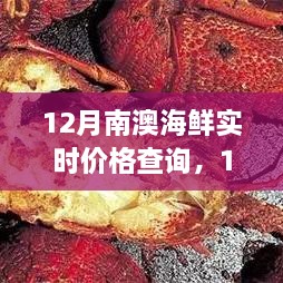 12月南澳海鲜实时价格全攻略，市场动态掌握，选购无忧