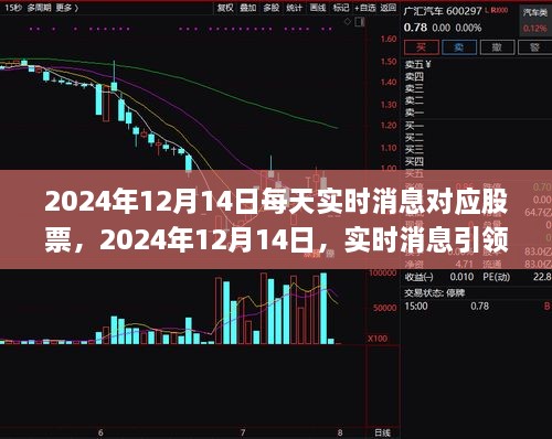 每日实时消息引领股市风云，揭秘股票走势背后的秘密，2024年12月14日