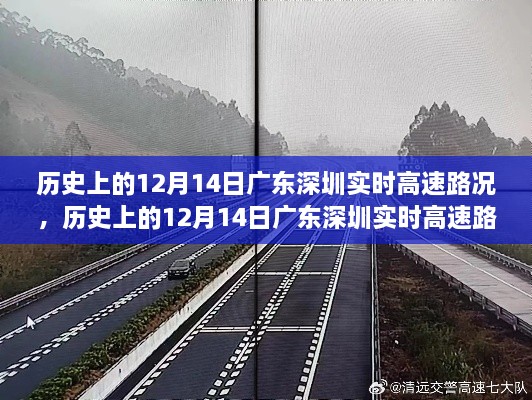 透视历史上的12月14日广东深圳实时高速路况及其多方观点影响分析