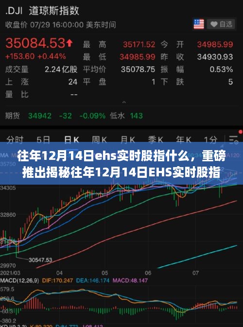 重磅揭秘，往年12月14日EHS实时股指新功能——科技驱动智能生活新纪元体验开启！