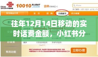 揭秘往年12月14日移动实时话费金额，省钱攻略与小红书分享回顾