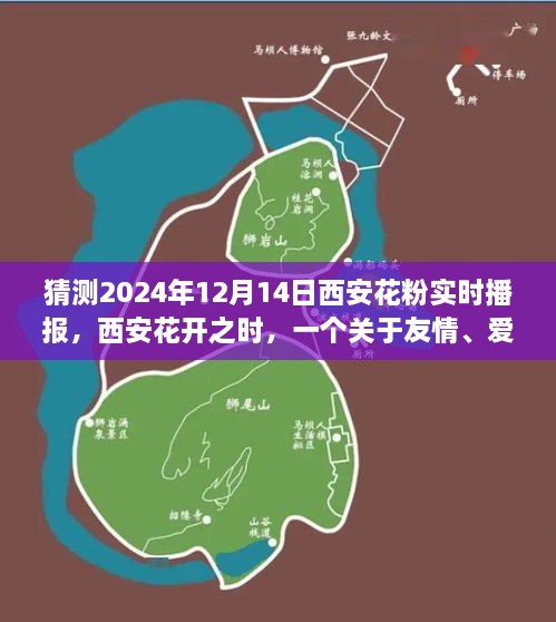 西安花开之时，友情、爱与陪伴的温馨故事，2024年12月14日西安花粉实时播报