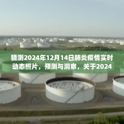 2024年肺炎疫情实时动态照片预测与展望，洞察未来，解析发展趋势