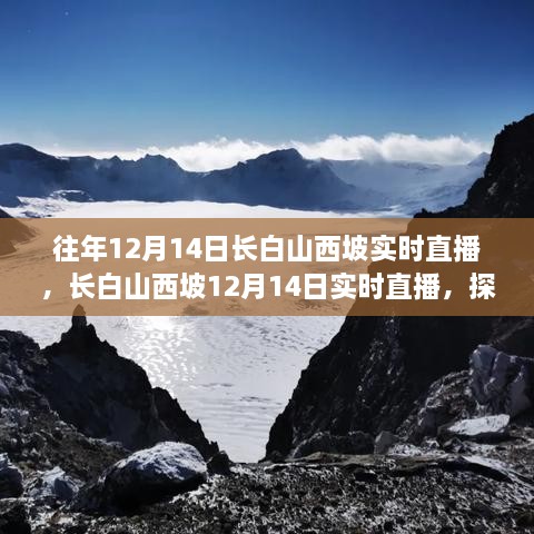 长白山西坡探寻冬日奇景，12月14日实时直播领略自然魅力