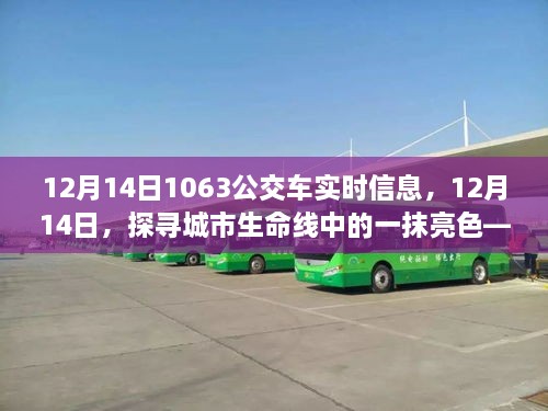 探寻城市生命线中的一抹亮色，12月14日公交车1063实时轨迹与影响