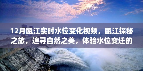 瓯江探秘，追寻自然之美，实时水位变化视频体验水位变迁魔法之旅