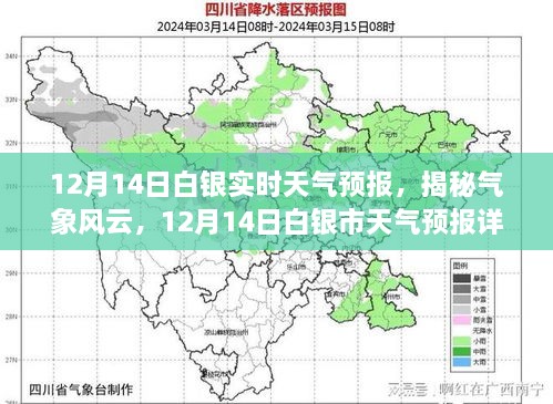 2024年12月15日 第5页