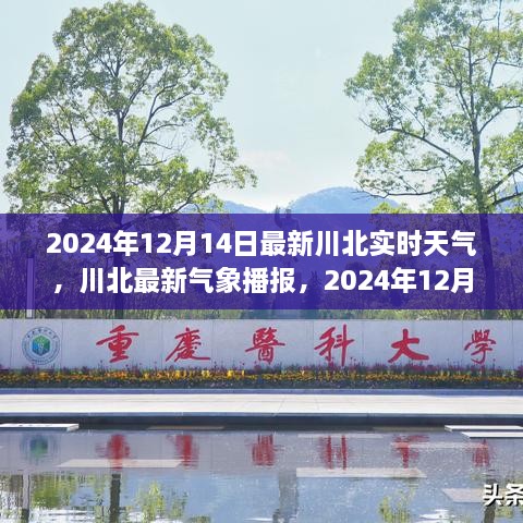 川北实时天气详解，最新气象播报与预测（2024年12月14日）