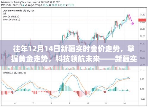 往年黄金走势揭秘，新疆实时金价监控神器助你洞悉黄金市场领航未来