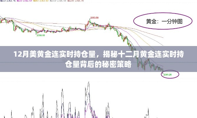 揭秘十二月黄金连实时持仓量的秘密策略与动态分析