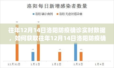 往年12月14日洛阳防疫确诊实时数据获取指南，详细步骤解析