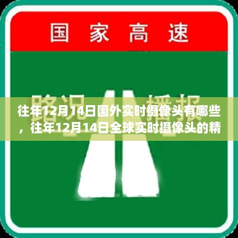 往年12月14日全球实时摄像头精彩瞬间与实时画面回顾