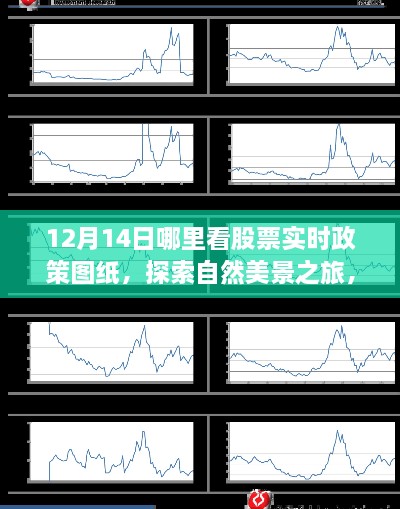 股市静谧之时与自然共绘蓝图，探索实时政策图纸与自然美景之旅的指南