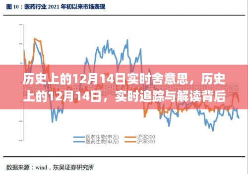 揭秘历史上的十二月十四日，实时解读背后的深层意义