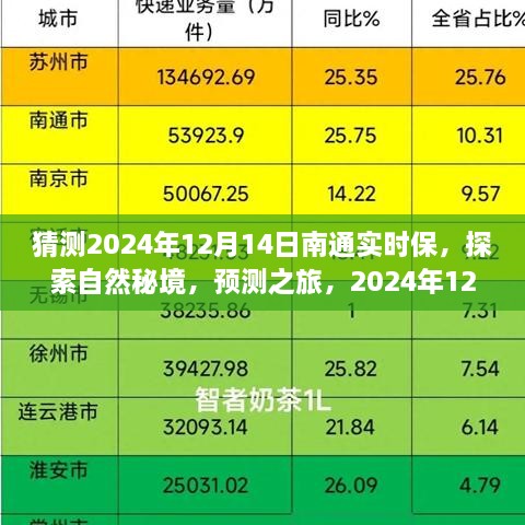 2024年12月15日