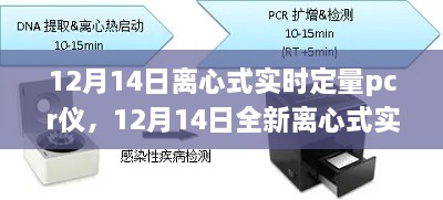 2024年12月16日 第19页