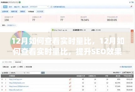 揭秘，如何实时查看量比提升SEO效果，12月实操指南！