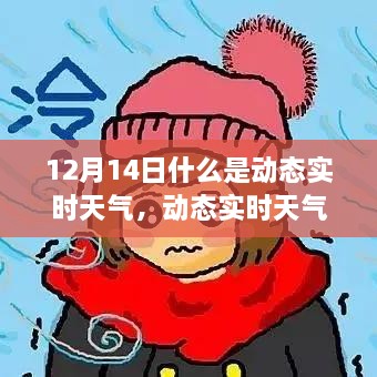 12月14日视角下的动态实时天气，内涵解读与理解