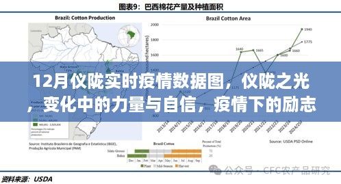 仪陇之光，疫情下的力量与自信，实时数据图与励志故事