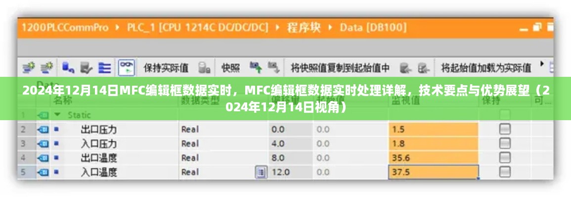 2024年12月16日 第11页