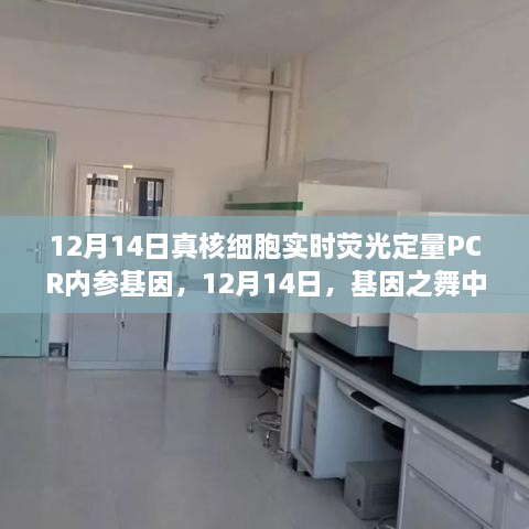 真核细胞内参基因实时荧光定量PCR，基因之舞中的暖心瞬间