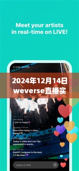 2024年12月14日Weverse直播实时翻译字幕体验与应用，实时互动与流畅观赏的完美结合