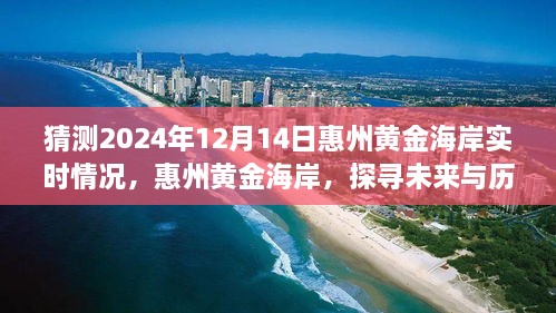 惠州黄金海岸未来与历史的交汇点，深度观察2024年12月14日实时情况预测