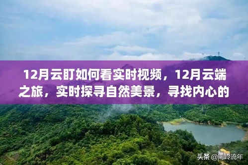 12月云端实时探寻，自然美景下的宁静与平和之旅，云盯实时视频观看指南