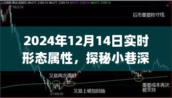 探秘小巷深处的独特风味，一家隐藏在日常形态中的特色小店（实时形态属性报道）