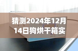 狗狗烘干箱温度预测，温馨小窝里的奇妙时光——2024年12月14日最佳烘干温度探讨