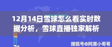 雪球APP实时数据分析解析，掌握市场风向，洞悉数据秘诀的指南