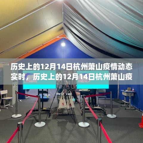 历史上的12月14日杭州萧山疫情动态深度分析与观点阐述，实时观察与反思