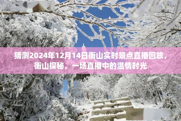 衡山探秘，2024年12月14日直播回放，揭秘温情时光