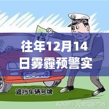 2024年12月17日 第14页