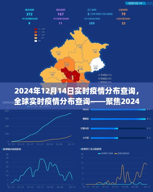 2024年12月14日全球疫情实时分布查询与动态分析