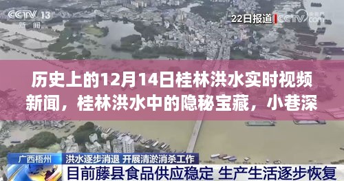 揭秘洪水中的隐秘宝藏，桂林洪水实时视频新闻与小巷特色小店探秘历程