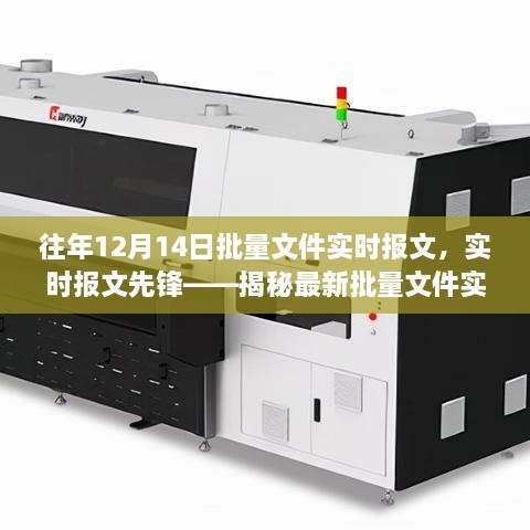 揭秘批量文件实时处理系统革新之旅，实时报文的先锋在行动