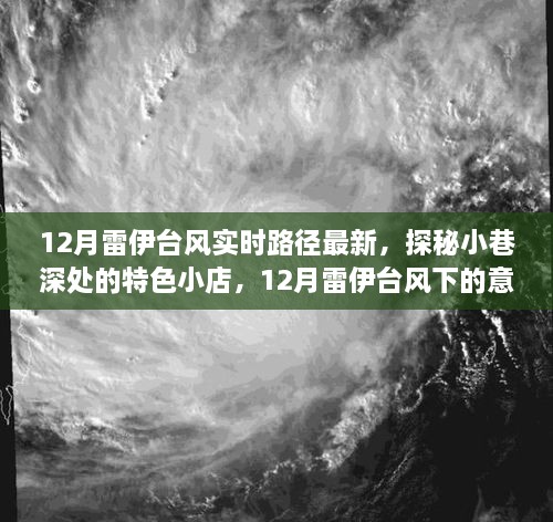 雷伊台风下的惊喜，探秘小巷特色小店与实时路径追踪