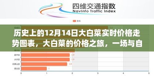 大白菜价格之旅，自然美景与价格走势的浪漫邂逅在历史上的12月14日