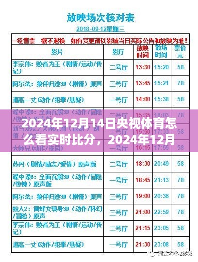 央视体育实时比分观看指南，如何观看2024年12月14日赛事与观点论述