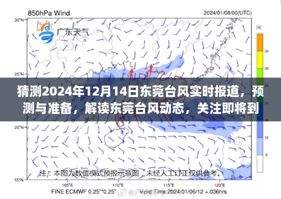 2024年东莞台风预测与准备，实时报道、动态解读及台风季节关注