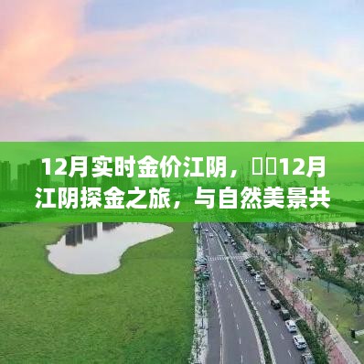 12月江阴探金之旅，与自然共舞，追寻金光与内心宁静