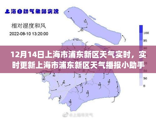 上海市浦东新区天气实时播报小助手，12月14日天气详解及出行指南