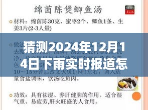 关于天气预测，猜测2024年12月14日下雨的实时报道分析及其影响观察报告。