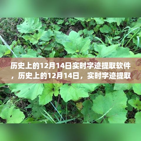 历史上的12月14日，实时字迹提取软件深度评测与介绍