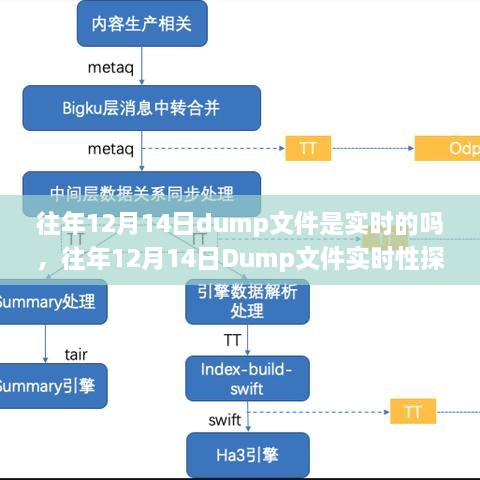 往年12月14日Dump文件的实时性解析，深度评测与介绍