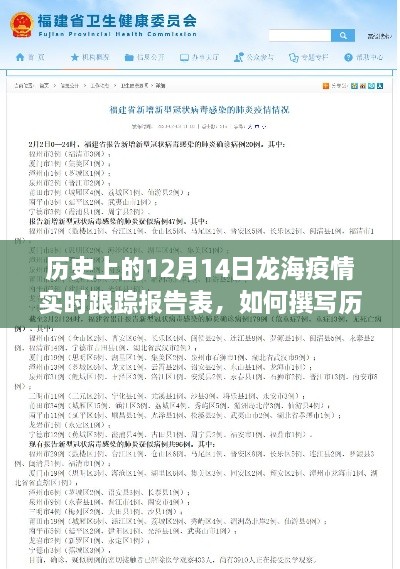 历史上的12月14日龙海疫情实时跟踪报告表，全面撰写指南与步骤解析