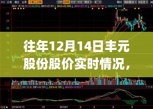 揭秘丰元股份历年股价波动，深度解析十二月十四日股价动态与深层影响